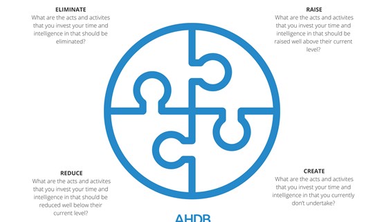 Extraordinary leadership framework